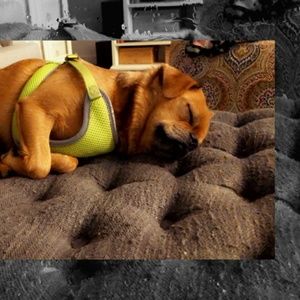 Meet your Posher, Kim